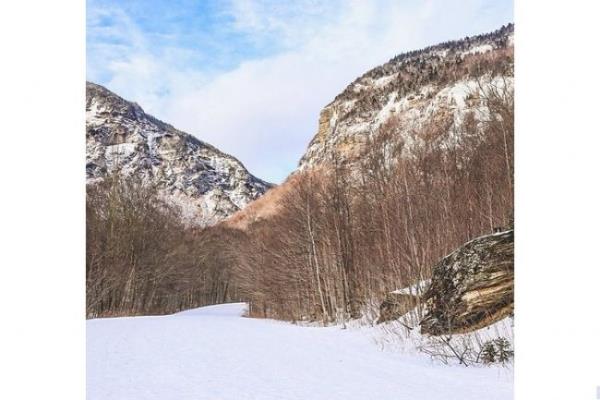 Zamanla bu tatl fotoraflar internette dikkat ekince 'kpei bulabilecek misin' serisi ortaya km. Dikkatlice bakn...