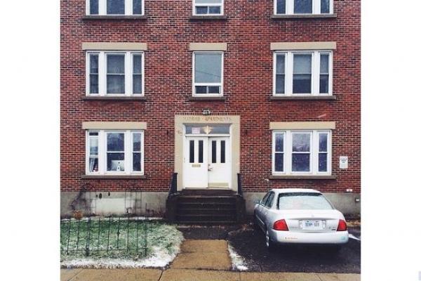 Momo her fotorafta saklanyor. Ama nerede?