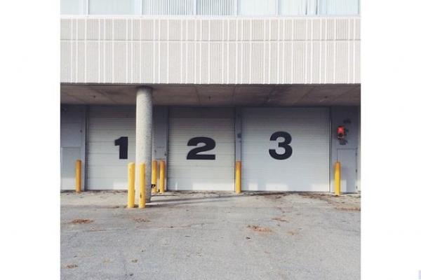 Momo, bir Border Collie yani koyun oban kpei, sahibi de grafik tasarmc olan Andrew Knapp. Andrew Momo'yla oyun oynarken onun allmam bir ey yaptn fark etmi.