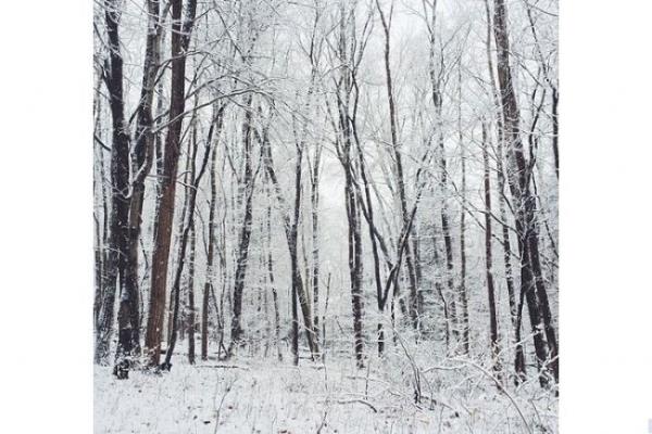 Momo'nun geri getirmesi iin Andrew sopay frlattnda, Momo sopayla sahibine geri dnmek yerine eitli yerlere saklanm. Bunu fark eden Andrew de kpeini fotoraflamaya balam.