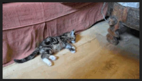 <p><b>10. Eski sevgililerine l taklidi yapar. </b></p>  Siz zaten eski sevgililerinizi aramazsnz ama eski sevgili bu, merak edip arar, kontrol etmek iin arar. Kusursuz erkek bu telefonlar amaz, mesajlara cevap vermez, iletiime gemez. Aferin.