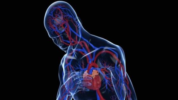 Kan plazmasnda antioksidan seviyesi ykselebilecei ve buna bal olarak yksek tansiyon seviyesinde dme salanabildiini ortaya koyan almalar bulunduunu belirtti.