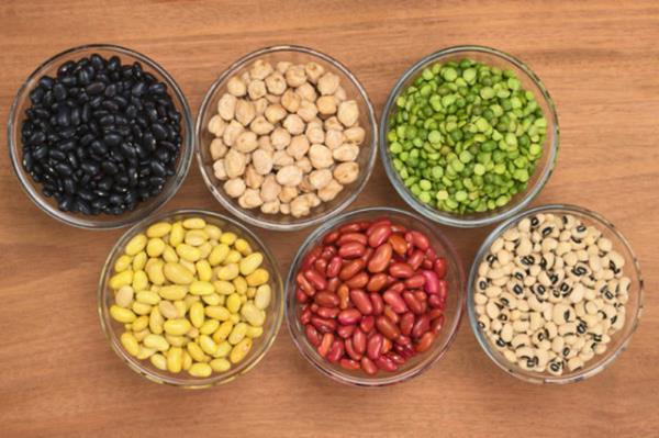 <b>Posa:</b> Meyve, sebze, kurubaklagiller, tam tahll besinler, yal tohumlar posadan olduka zengindir. Yksek posa alm (30-35 gr/gn), hipertansiyonu drd yaplan aratrmalarda gsterilmektedir.