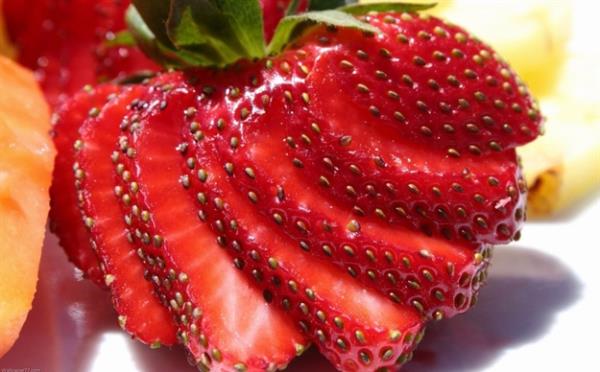 10. Hamilelikte bebein omurilik, kafatas ve beyin geliimine katkda bulunuyor