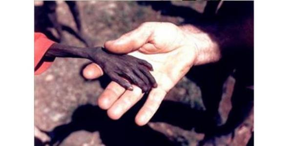 <p><b>1980 Michael Wells, ngiltere</b></p>    Uganda'da alktan lmek zere olan bir ocuk ve bir misyoner...