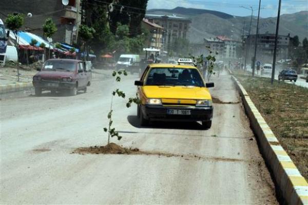 Yksekova ofrler ve Otomobilciler odas yeleri, iledeki bozuk yollara dikkat ekmek amacyla caddedeki ukurlara fidan dikti.