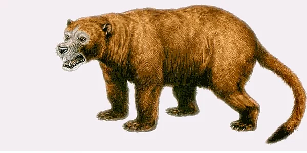 11- Sarkastodon