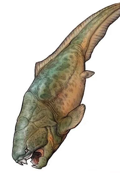 <p><b>7- Dunkleosteus</b></p>  Evrim aacnda daldan dala atlarken. Kpek balklarn biat edecei varlk. eneleri o kadar kuvvetliydi ki, timsahlarn sr yannda bayku sr gibi kalyordu.