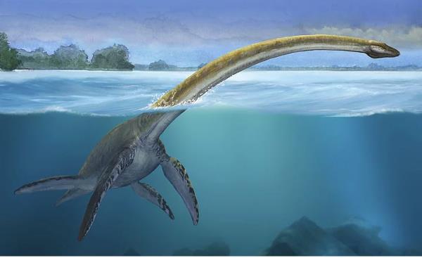 8-Elasmosaurus