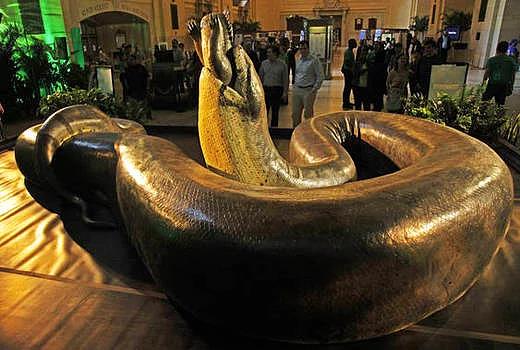 15- Titanoboa