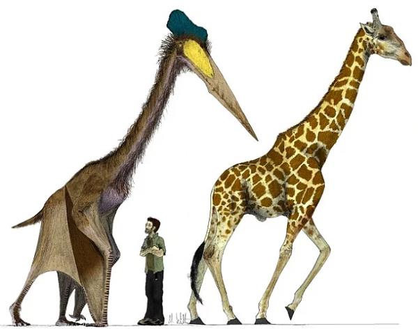 10- Quetzalcoatlus