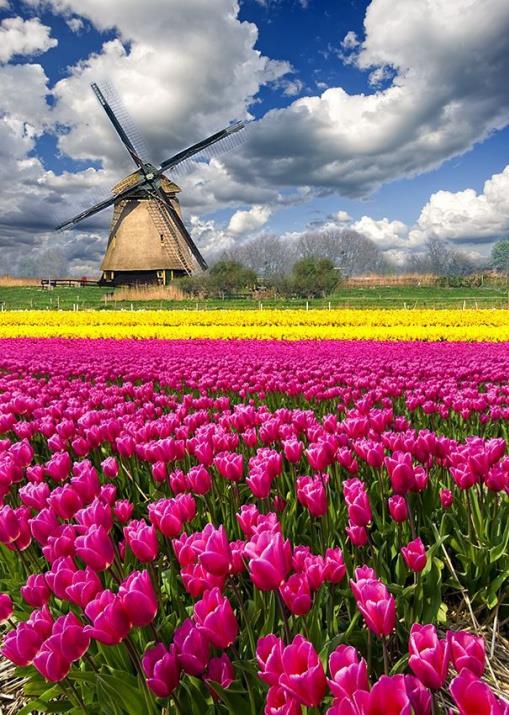 Hollanda