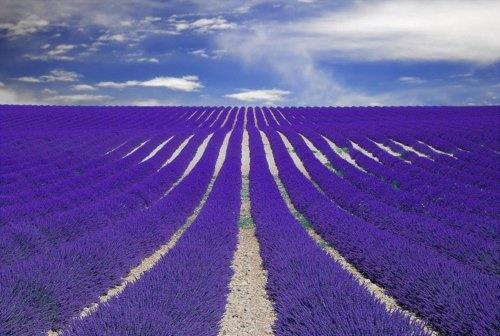 Provence - Fransa
