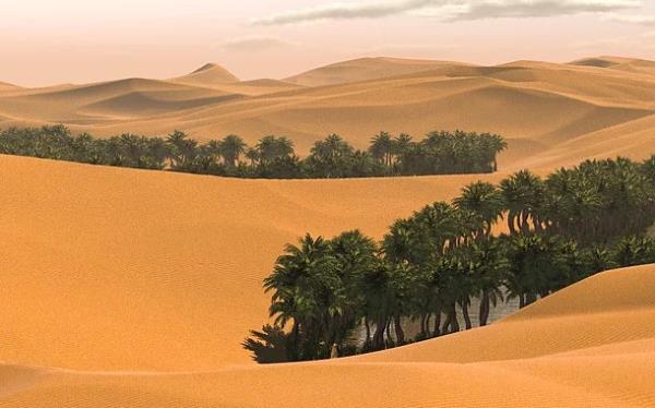 <p><b>10. zerinde hi nehir bulunmayan lke - Suudi Arabistan</b></p>  Kulaa enteresan geli,yor deil mi? Suudi Arabistan gibi geni topraklar olan bir lkede herhangi bir ekilde akar su bulmak olas deildir. me suyu deniz suyunun artlmasndan ve yer alt kaynaklarndan temin edilmektedir.