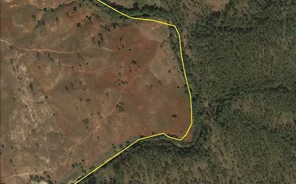 <p><b>17. Neredeyse hi aa bulunmayan lke - Haiti</b></p>  Surinam'n aksine, skalann teki ucunda Haiti bulunur. Ormanlarn ylesine hunharca yok etmilerdir ki uydu grntlerine baktnzda Dominik Cumhuriyeti ile arasndaki snr ok rahat ayrt edebilirsiniz.  Haiti'nin soldaki lke olduunu sylemeye sanrz gerek yok.