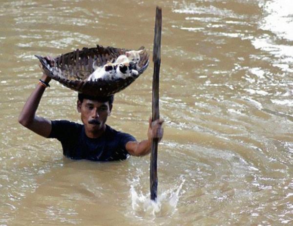 Pakistan'daki sel felaketinde yavru kedileri azgn sulardan kurtaran adam. (2011)