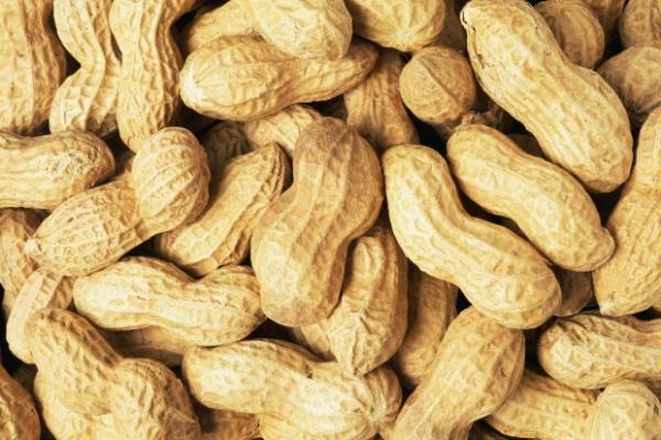 <b>Yer fst:</b> Yer fst kan ekerine kar etkilidir. zellikle yer fst ezmesi, kan ekerini drc etkiye sahiptir. Bu tabi ki kak kak yiyeceksiniz anlamna gelmiyor. 1 orba ka yer fst ezmesi 1 gn iin yeterlidir.