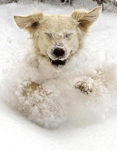 Per Ottar Walderhaug, Norve