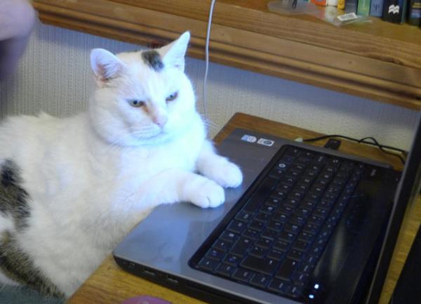 ''nternet diye bir ey var, duydun mu?''