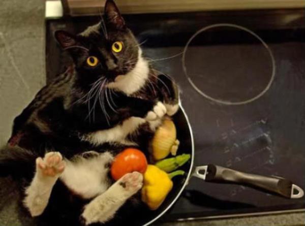 ''Kendin piir kendin ye gecesi bu gece dostum...''