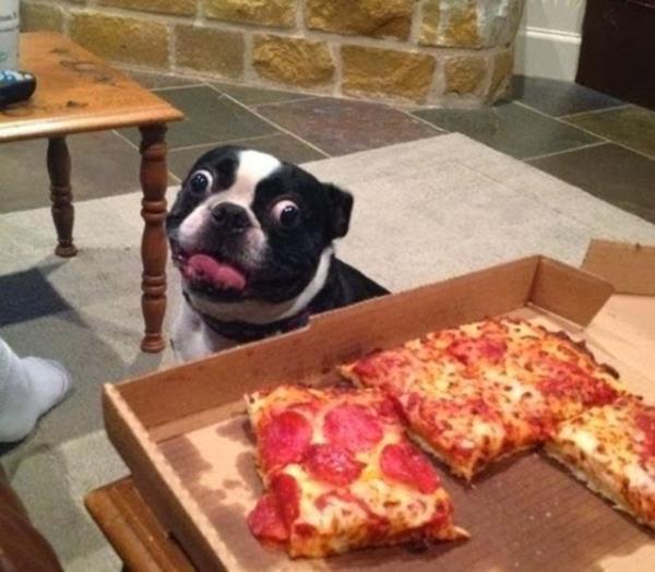 ''Dostum bu gece evde pizza gecesi!''