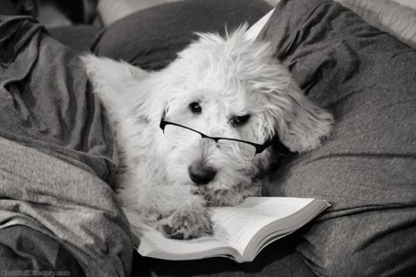 <p><b>te arkadalarnz krmayacak en geerli bahaneler</b></p>  ''Dostum bu kitab bitirmem art...''