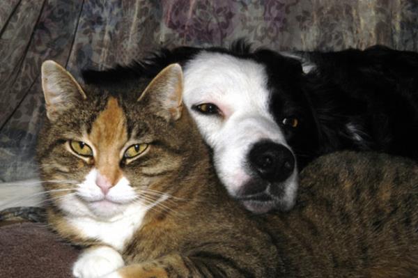 ''Alayacak bir omuza ihtiya varm, evde kalp destek olmalym...''