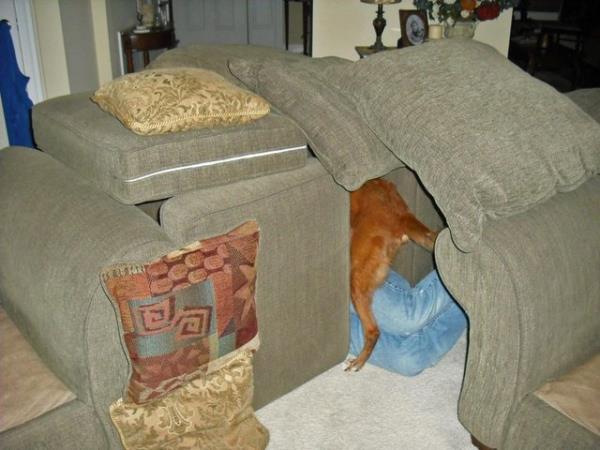 ''Kyamet gnne hazrlk yapyorum''