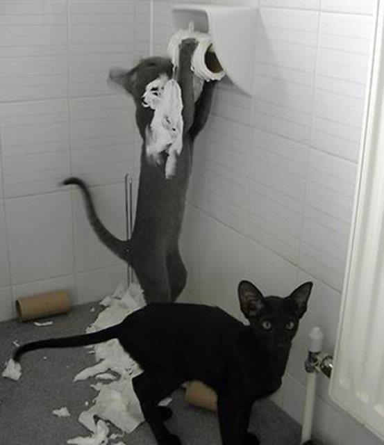 ''Evde halledilmesi gereken ufak tefek iler var''