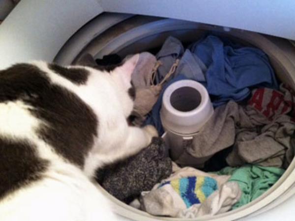 ''Bu akam da amar ykamazsam yarn sokaa pijamalarla kmak zorunda kalacam''