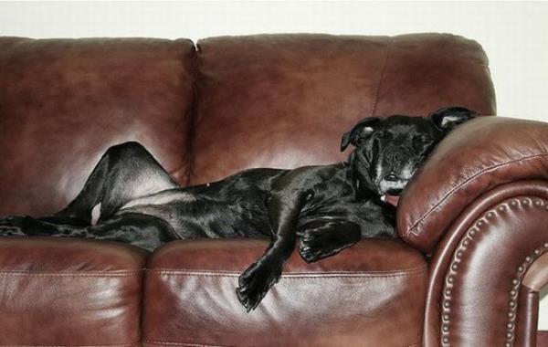 ''imdiden iim geti benim...''