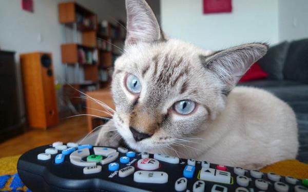 ''Dizinin bu akamki blm kamaz, kusura bakma...''