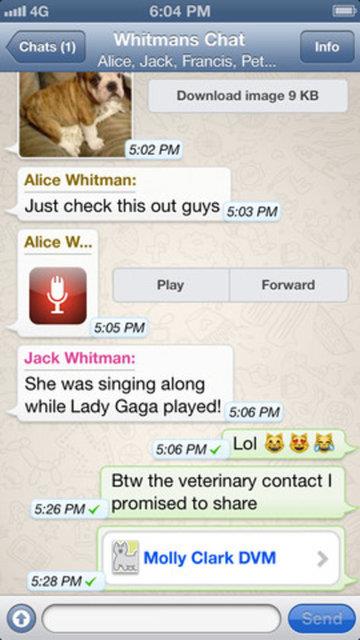 <p><b>WHATSAPP:</b></p>   Anlk mesajlama yazlmlarnn mobil cihazlardaki yeni efsanesi olan WhatsApp'n, aylk 200 Milyon?dan fazla aktif kullancs bulunuyor. Uygulama, grup sohbetler, fotoraf, video, ses paylamyla kullanclarn vazgeilmezi olmu durumda.