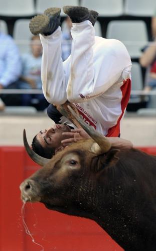 Atlayclar yakalayamadka daha da sinirlenen boalarla mcadele eden bu kiilerin yapt bu ie "lme meydan okuma sanat", bunu yapanlara da "Sanat" deniliyor.