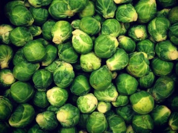 <p><b>Brksel lahanas </b></p>  Brksel lahanas, brokoli, karnbahar ve lahana gibi sebzeler ya yakan enzimleri aa karan sulforafen adl bir madde ieriyorlar.