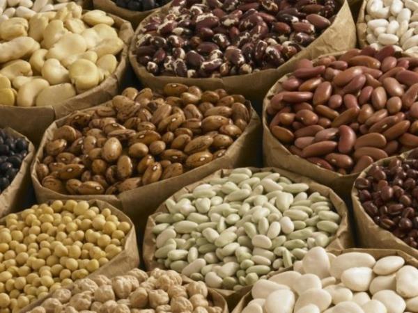 <p><b>Fasulye ve dier bakliyat </b></p>  Dk kalorili, yksek lifli, yksek proteinli olmalar sebebiyle, bakliyat ya yakan besinlerin ban ekiyor.