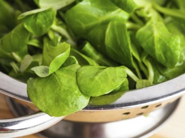 <p><b>Ispanak ve dier yeil sebzeler </b></p>  Bakliyata benzer bir ekilde, yeil sebzeler de dk kalorili ve lif ynnden zengin besinler. Dostunuz olacak yeillikler arasnda brokoli, marul, roka, tere de yer alyor.