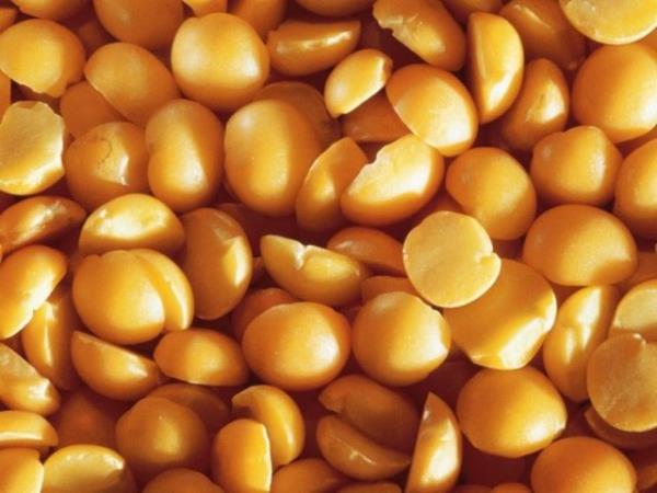 <p><b>Mercimek </b></p>  Demirden zengin mercimek ailesi metabolizmay hzlandrc etkiye sahip.