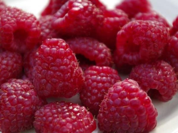 <p><b>Ahududu ve dier krmz meyvalar </b></p>  Krmz meyvalar ierdikleri lifler ve pektin sayesinde uzun sre tokluk hissi salarlar. Ancak yksek miktarda eker de ierikleri iin gnde bir avutan fazla yememek gerekiyor.