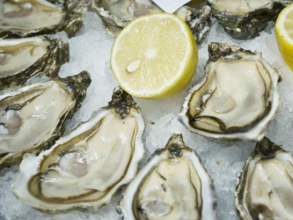 <p><b>stiridye </b></p>  Kalorisi dk ve itah kapatmaya yardmc olan inkodan zengin. Bu listedeki besinlerden en az tketecekleriniz arasnda muhtemelen ama yine de bilmekte fayda var!