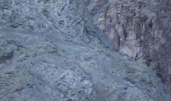 41 yandaki deneyimli fotoraf David Jenkins bu fotoraflar ekebilmek iin gnlerce -20 derecede kamp kurdu.