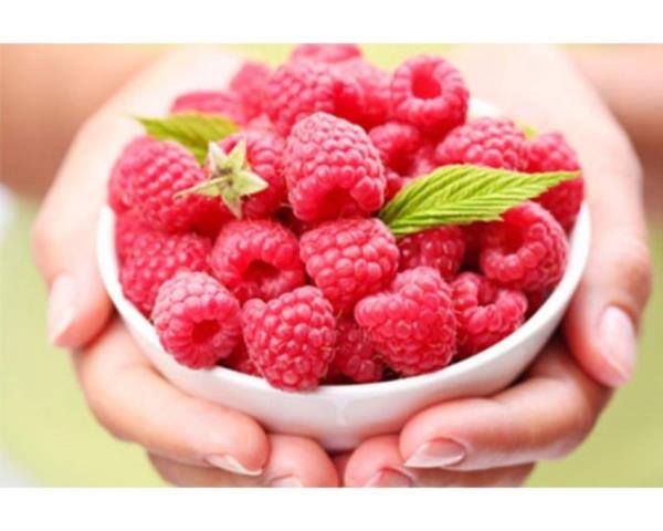 Kalp ve fel gibi hastalklar nlenmesinde etkili olan ahududu kolesterol de dengeler.