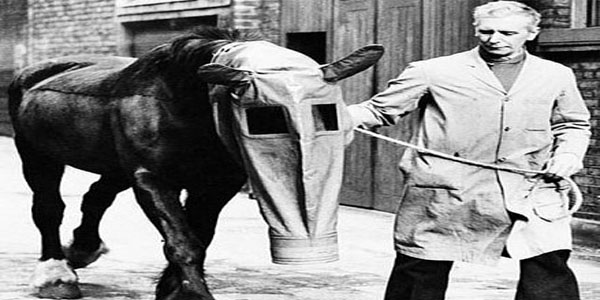 11. Atlar iin gaz maskesi