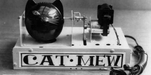 29. Miyavlayan fare kovar