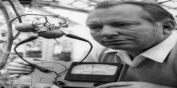 24. Meyve ve sebzeler tarafndan hissedilen acy lmek iin Hubbard Elektrometresi