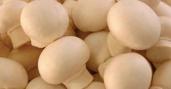 <b>MANTAR:</b> Baklk sistemini glendiriyor. zellikle inliler'in ila niyetine yedikleri bu sebze, bnyeyi hastalklara kar koruyor ve baklk sistemini glendiriyor.