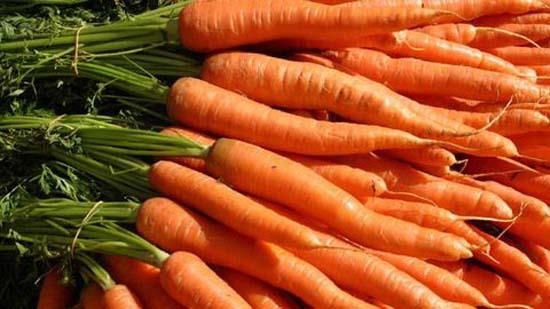 Kansere kar etkili olduu gibi cildin kurumasn da engelliyor ve baklk sistemini glendiriyor. Beta karotin (kansere neden olan serbest radikallari durduruyor ve baklk sistemini glendiriyor) ieren havucun en byk zelliklerinden biri ierdii bu maddenin cildin kurumasn engelleyen A vitaminine dnebilmesi.