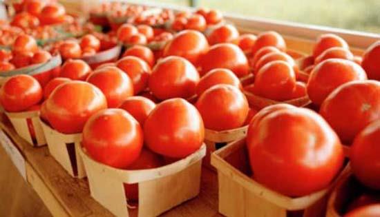 Haftada en az iki kez domates yiyen erkeklerin, dierlerine oranla prostat kanserine yakalanma riskleri az.