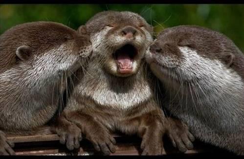 Dnya'dan ilgin kareler