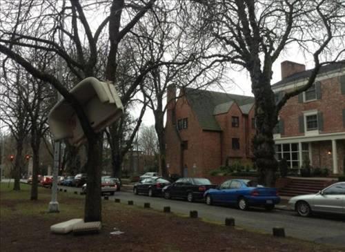 Dnya'dan ilgin kareler